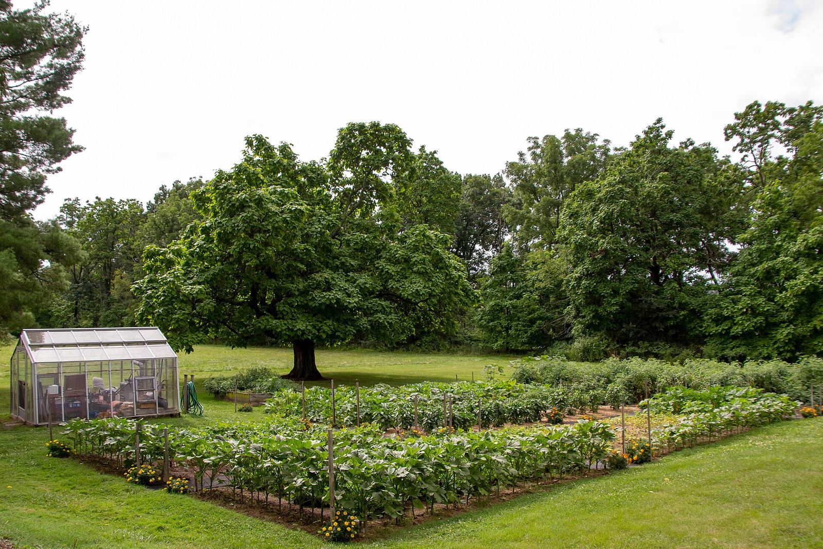 Vegetable garden and greenhouse at Eisenhower National Historic Site. (8b87ce99-217a-44be-afc5-30ea50f07065)