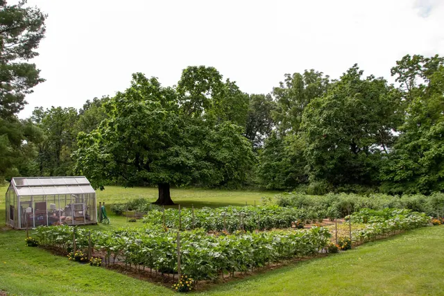 Vegetable garden and greenhouse at Eisenhower National Historic Site. (8b87ce99-217a-44be-afc5-30ea50f07065)