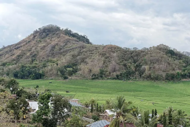 Rice fields on Flores Island in West Manggarai Regency, Indonesia, 1359 3201