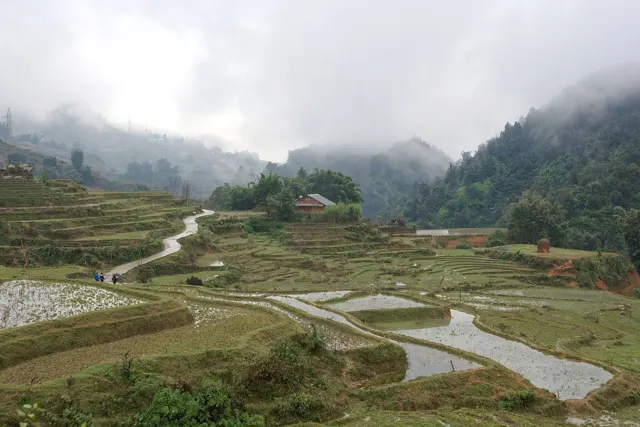 Road and paddy fields in Sa Pa, Vietnam, 1203 3590